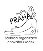 STAR SHOW DIPLOMAT PRAHA 2014 2 MEZINÁRODNÍ VÝSTAVY KOČEK 18
