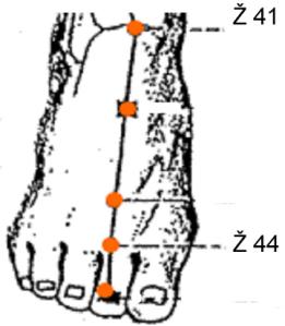 kotník 3 c (palce) nad okrajem vnějšího kotníku, Žl 40 v jamce vpředu pod vnějším kotníkem a Ž 41 vpředu ve