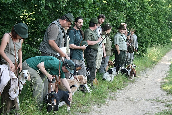 Druhý den ráno zde ve Velkém Víru proběhla veterinární přejímka psů, a pak už jsme se všichni přesunuli na místo zahájení.