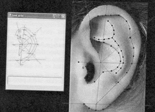 3.1.18 Biometrie ušního boltce Identifikace člověka vyuţívající biometrii ušního boltce je zaloţená na individuálním tvaru a morfometrické stavbě ušního botce kaţdého jedince.