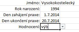 Výběr ze seznamu Po označení buňky se vedle ní zobrazí rozevírací