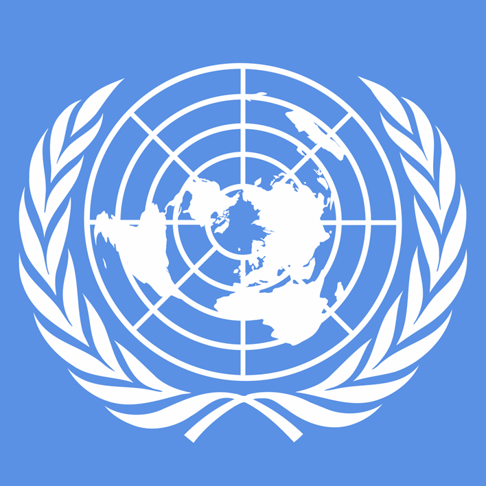 Dokumenty modelu OSN Dokumenty modelu OSN Rezoluce