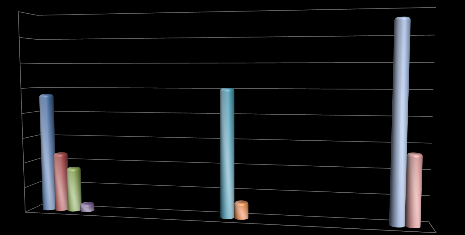 Územní pracoviště Střední Čechy 8000 ÚZSVM - ÚP Střední Čechy - realizované nemovitostí v období 1.1.2007-31.