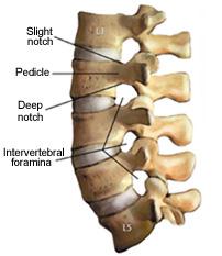 Posturální bolest dolní části zad, lumbální a lumbo-sakrální mechanická nerovnováha Lumbální a