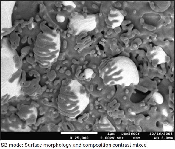 surface morphology, composition