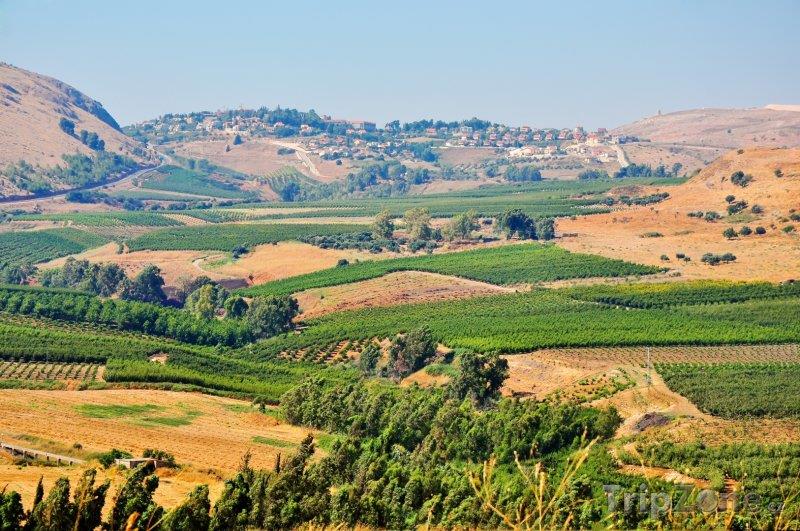 I Z R A E L Státní zřízení: republika Hlavní město: Jeruzalém Úřední jazyk: Hebrejština a Arabština Počet obyvatel: 7 282 tis.