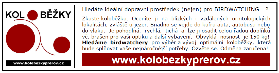 Na základě hlasování rozhodli přítomní členové, že o prezidiu budou hlasovat veřejně a o všech kandidátech najednou. Jeho složení bylo schváleno, dva členové se zdrželi hlasování, nikdo nebyl proti.