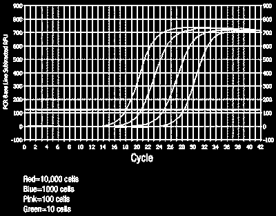 Real-time quantitative PCR - Sledování