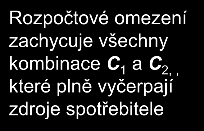 Mezičasové rozpočtové omezení C 2 C C Y Y 1 r 1 r 2 2 1 1 Rozpočtové omezení zachycuje všechny kombinace C 1 a C 2,, které