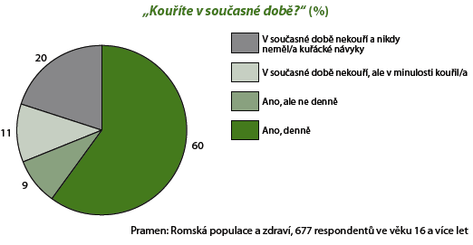 Zdravotní stav romské populace dospělí Romská