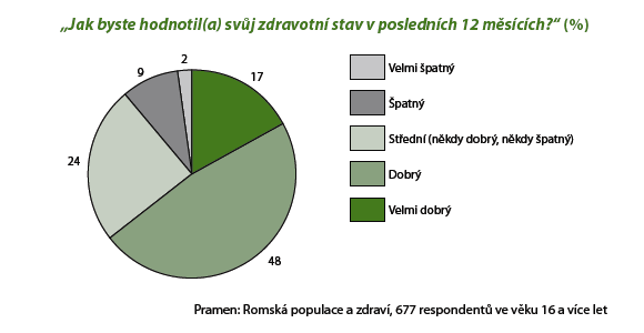 Zdravotní stav romské populace dospělí Romská