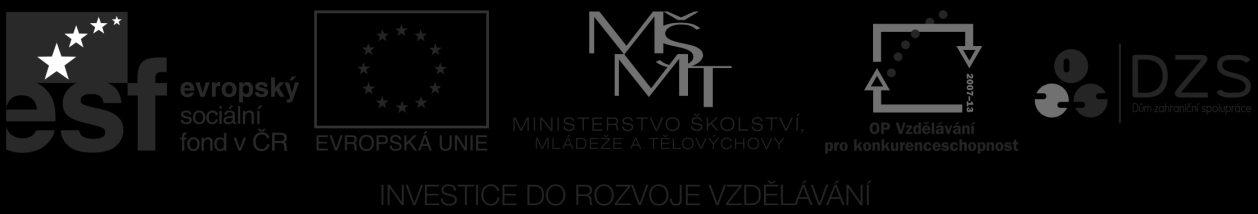 Základní složky gramotnosti: jak rozpoznat obtíže osob s nízkou funkční gramotností a jak postupovat při jejích odstraňování RNDr