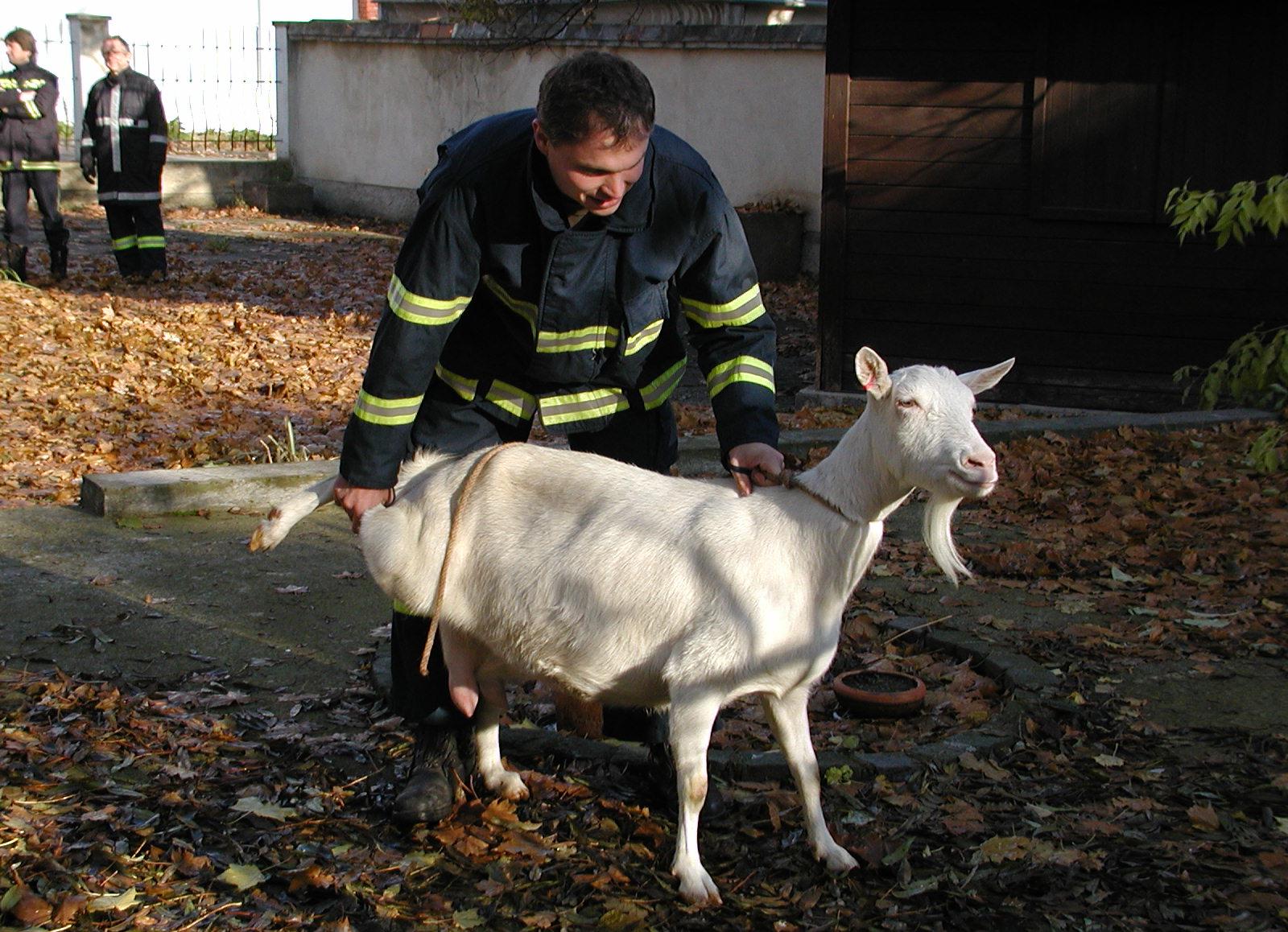 Nebezpečí ohrožení