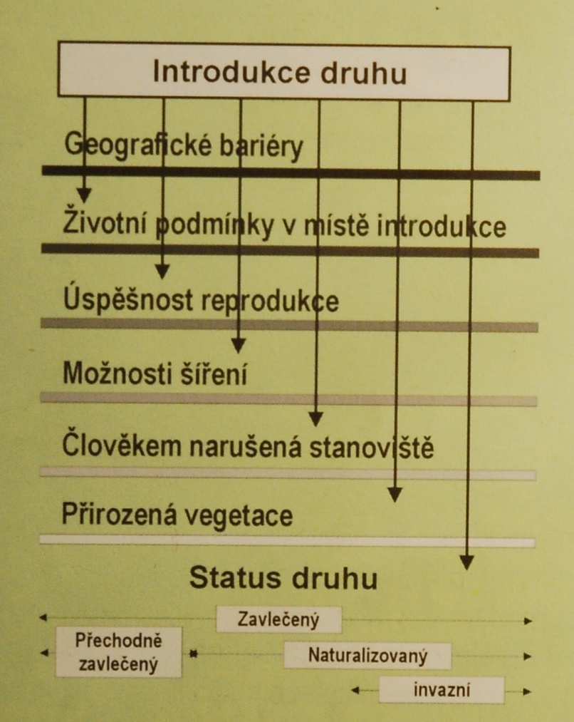 Terminologie rostlinných invazí Invazivní druhy nepůvodní v daném území, přenesené vlivem člověka archeofyty zavlečené do konce středověku neofyty po objevu Ameriky invaze proces, během