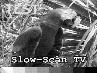 4. POPIS FORMÁTŮ SLOW-SCAN TV PŘENOSU 4.2. Barevné SSTV módy volně běžícího rozkladu, ale vzhledem k tomu, že je řádková synchronizace prováděna synch. impulzy může se lišit až o ± 5 %.