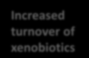 Léčba AIP Increased need of heme synthesis Increased 1 turnover of xenobiotics Increased heme degradation by HO-1 2 3 Lack of