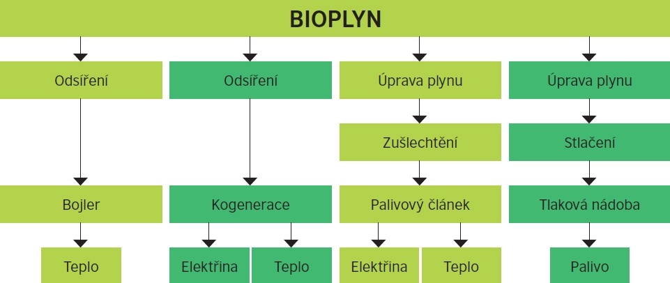 Když použijeme bioplyn jako palivo spalovacího motoru, vyrobíme mechanickou energii, kterou můžeme pomocí generátoru přeměnit na elektřinu a v kogeneraci je vyráběno i teplo. (viz obr.