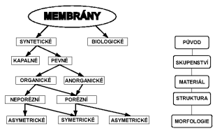UTB ve Zlíně, Fakulta aplikované informatiky, 2012 12 1 MEMBRÁNY Membrána je v zásadě komplexní vysoce výkonná multifunkční bariéra, která odděluje dvě média a usnadňuje, resp.