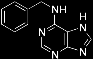 Cytokininy - velká skupina látek (více než 200 přírodních a syntetických) - 1) odvozené od adeninu, 2) aromatické cytokininy; 3) aromatické