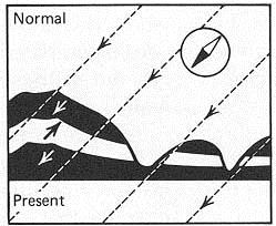 Paleomagnetismus Polarita pole