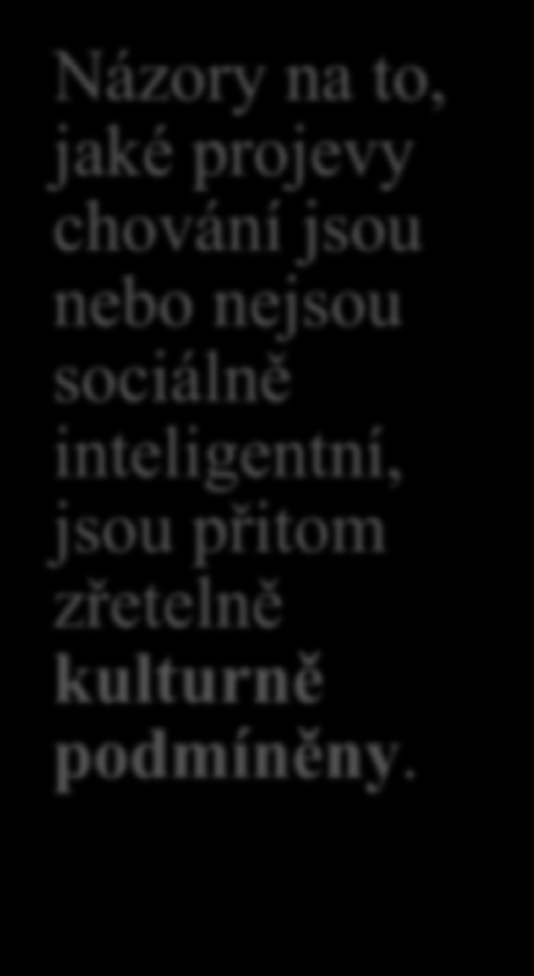 Sociální Edward Thorndike definoval sociální inteligenci jako schopnost chápat a zvládat muže a ženy, chlapce a dívky a moudře jednat v mezilidských vztazích.