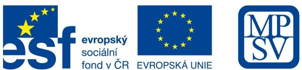 VÝZVA PRO PŘEDKLÁDÁNÍ INDIVIDUÁLNÍCH PROJEKTŮ OP LZZ PODPORUJEME VAŠI BUDOUCNOST www.esfcr.