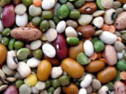 Fazol Fazol je rod luštěnin. Plody fazolu jsou lusky, které obsahují několik semen označovaných jako fazole. Naše nejznámější vyzrálé fazole jsou hnědé, některé jsou ale i zelené a žluté.