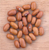 Správně doplň, odkrytím zkontroluj a na obrázku urči fazol obecný a zahradní. Fazol Fazol je rod luštěnin. Plody fazolu jsou lusky, které obsahují několik semen označovaných jako fazole.