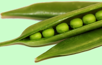 Hrách setý Hrách setý, lidově hrášek, je hospodářsky významná rostlina z čeledi bobovitých. Hrách je jednoletý, popínavý, se sbíhavými a prorostlými listy.