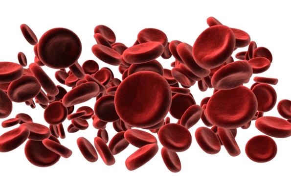 Krevně skupinové systémy: