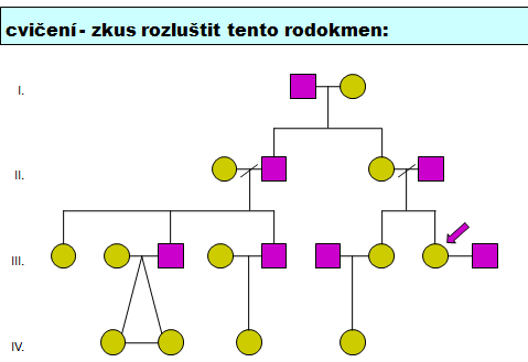 cvičení - zkus rozluštit tento rodokmen: otázky: 1. kolik je zde rozvedených manželství?:... 2. proband je žena nebo muž?:... 3. vyskytují se v této rodině dvojčata?:... 4.