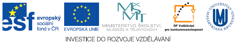 Zdokonalování gramotnosti v oblasti ICT Pracovní prostředí Word 2003 versus