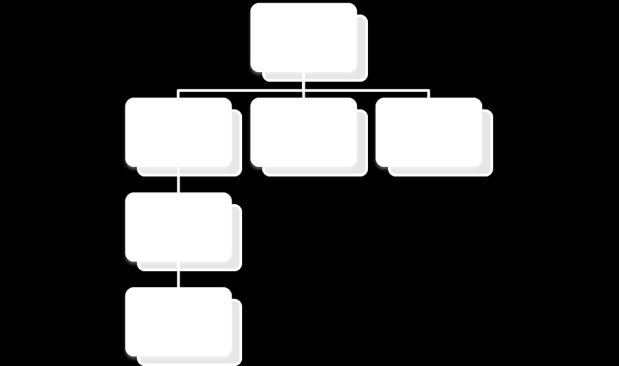Graf 1 Organizační struktura přípravy koncepce a zákona o sociálním bydlení 1.