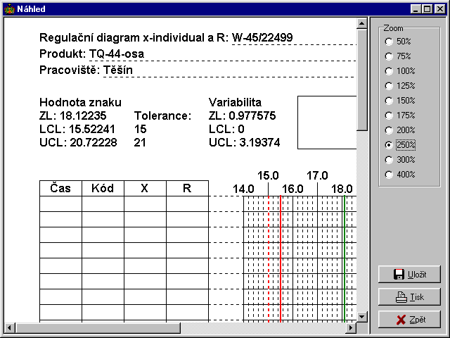 Obrázek 5 Náhled formuláře v základním zvětšení (100%)