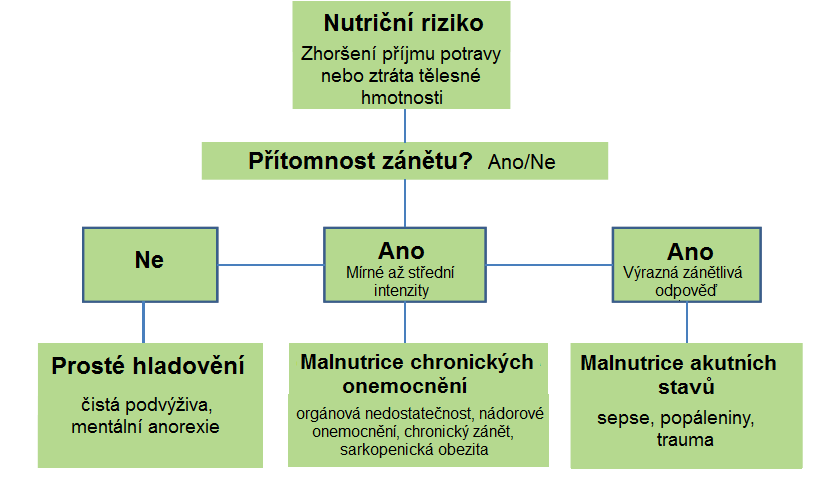 Nová klasifikace malnutrice-