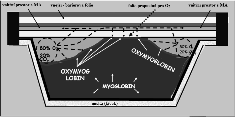 podílů forem myoglobinu.