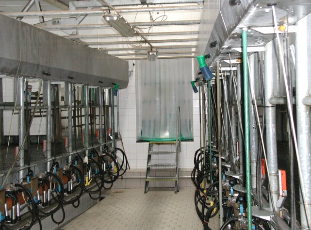 Vhodné je používání světelných zdrojů s elektrickými předřadníky. Ty totiž zamezují blikání světla a zároveň jsou skoro o 20 % úspornější i vzhledem k jejich delší životnosti.