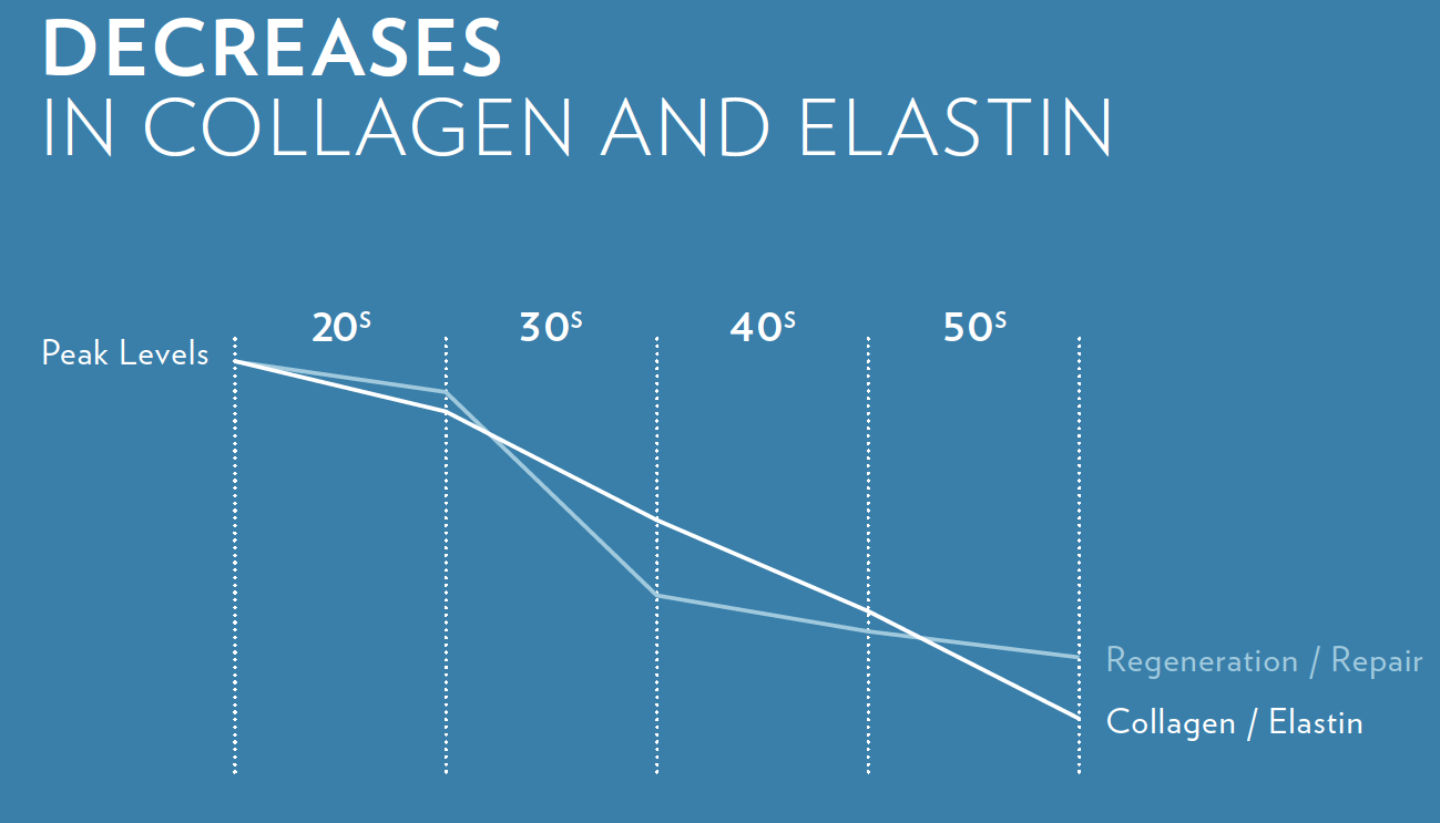 POKLES MNOŽSTVÍ KOLAGENU A ELASTINU Vrcholné