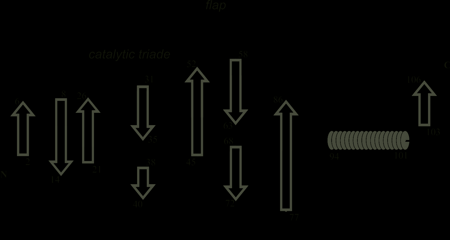 CSI -1 0 1 Secondary structure of M-PMV