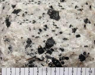 Alkalické hlubinné horniny Foidové syenity složení zástupci živců (nefelin, sodalit, nosean, kankrinit, haüyn,