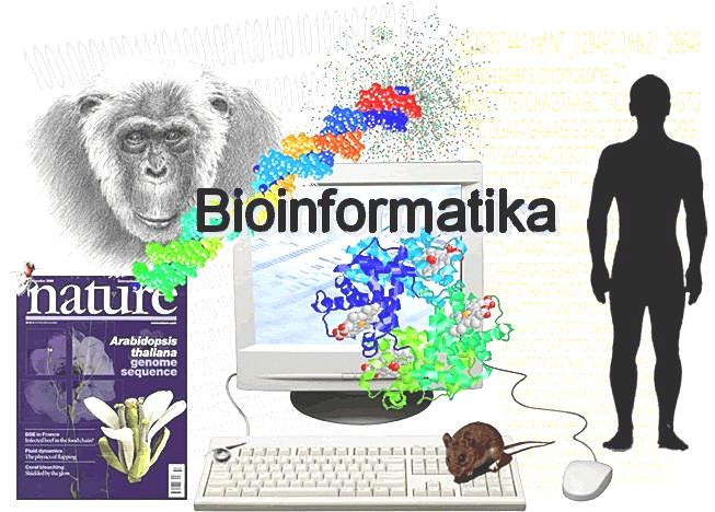 Bioinformatika a výpočetní biologie KFC/BIN I.