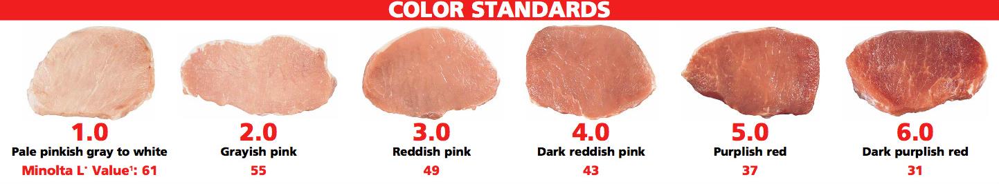 Obr. 10: Barevné standardy pro vepřové maso (Web 3, 2013) Omezením tohoto typu barevného rozsahu je nepravděpodobnost přesného sladění měřeného vzorku s daným rozsahem.