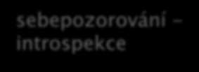 Kritické zhodnocení průzkumu Výsledky vysvětlují pozorované jevy, ale nejsou nějaké jednostranné?