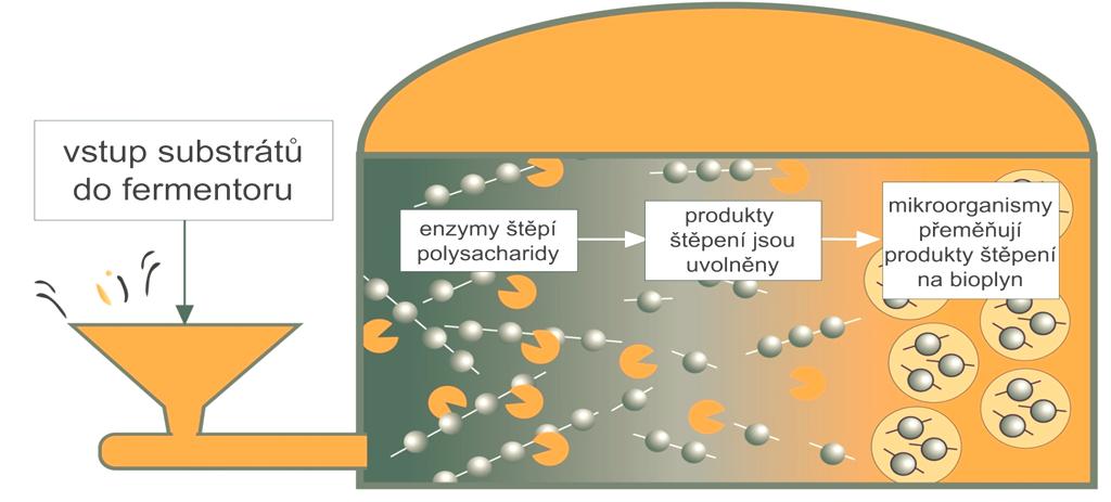 Jak se tvoří bioplyn?