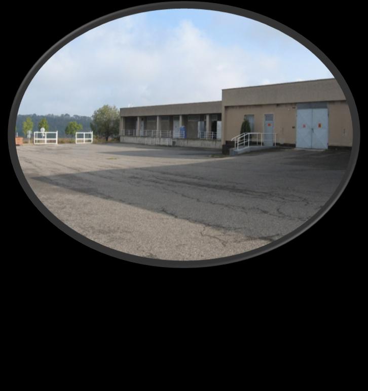 ve