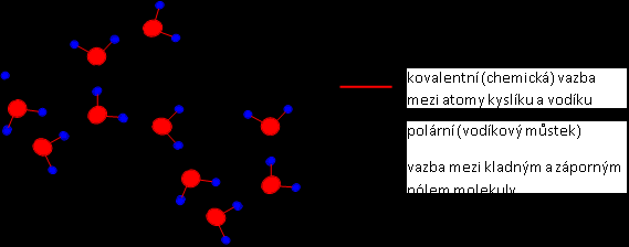 Vlastnosti vody Vodíkový můstek