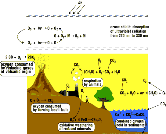 picture(s): http://jan.ucc.nau.edu/~doetqp-p/courses/env440/env440_2/lectures/lec31/lec31.