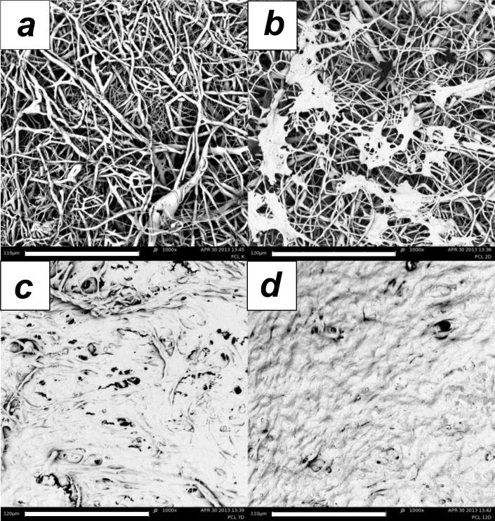 -Bimodal fibrous structure of wet electrospun PCL material was described and explained - The condition for dipping of electrospun fibers into liquid collector was found and