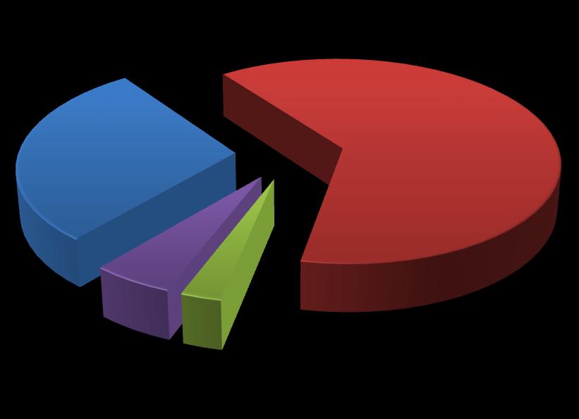 29% 63% Expoziční index Artefakty Reziduální obraz Blokace v digitizéru 5% 3% Graf č. 18 Druhy závad zjištěné v roce 2013 Zdroj: autorka Celkem bylo u testovaných kazet nalezeno 38 závad.