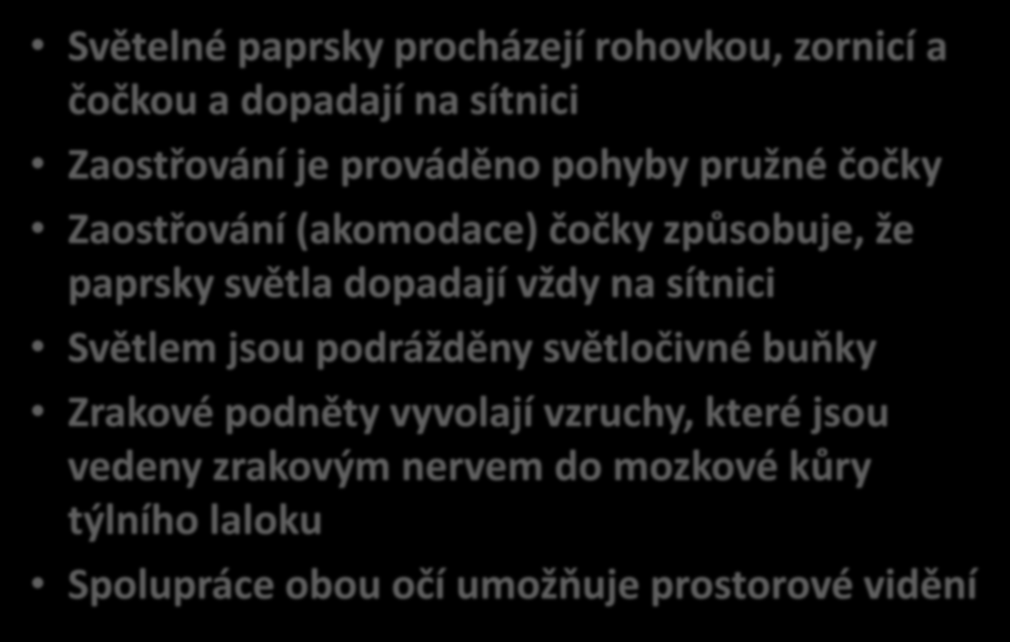 ČINNOST OKA Světelné paprsky procházejí rohovkou, zornicí a čočkou a dopadají na sítnici Zaostřování je prováděno pohyby pružné čočky Zaostřování (akomodace) čočky způsobuje, že paprsky světla